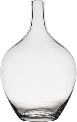 YYDSA Glas Ballonvase für Dekor,Transparente Glasvase für Modernes Wohnkultur,Indoor Dekoration,Gro? (nur Vase)