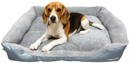 LOPFOTEN Hundebett mittelgroße Hunde – extra weich gepolstert mit Rand, waschbar & rutschfest, Bezug abnehmbar | Hundeschlafplatz, Hundematte Hundekorb bequem - Jetzt Größe wählen