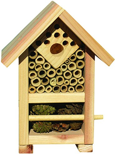 Caillard pfcajmul geschützt Multi Insekten Aluminium
