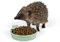 Igel-Futternapf aus Keramik - Jacobi Jayne® Igel-Futternapf - Langlebiger, wetterbeständiger Futternapf speziell für Komfort, Stabilität und den Außenbereich