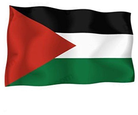 Akachafactory 10 Stück x selbstklebend Sticker Flagge Palästina palästinensischen Motorrad Auto Vinyl