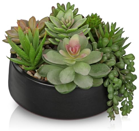DILATATA Artificial Succulent Plants in Pot 5.5 Inch Fake Succulents Arrangement Potted Plant in Black Ceramic Planter Bowl for Home Office Desk Shelf Living Room Bedroom Bathroom Decor