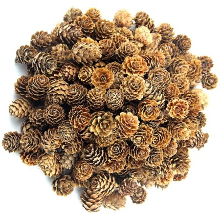 CYIOU 200 Stück Mini Tannenzapfen Deko 2-3 cm Kiefernzapfen Dunkelbraun | Pinienzapfen Streudeko für Herbst und Winter Zuhause Party Basteln Geschenk Hochzeit Weihnachtsbaum Winterdekoration