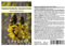 Seedeo® Kassie/Indische Gewürzrinde (Senna didymobotrya) 20 Samen