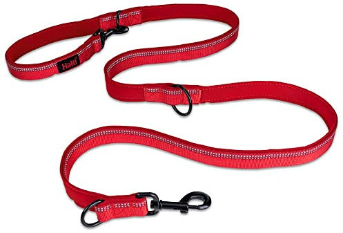 HALTI Multifunktionsleine – Trainingsleine mit Neoprenpolsterung, 3M-Reflektorgewebe und einstellbare Längenoptionen. Geeignet für kleine & mittelgroße Hunde (Größe S, Rot)