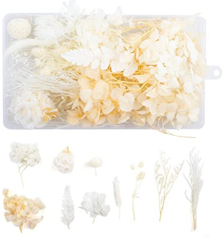 WJIAEER Trockenblumen Zum Basteln Trockenblumen Gepresste Blumen Trockenblumen Deko Getrocknete Blumen(MIX)