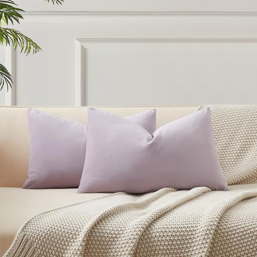 JUSPURBET Juego de 2 fundas de almohada de terciopelo lila de 16 x 24 pulgadas, para sala de estar, sofá, dormitorio, fundas de cojín decorativas sólidas con cremallera invisible