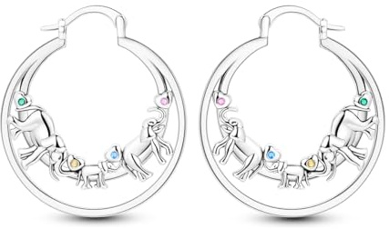 NARMO 925 Sterling Silber Ohrringe für Frauen Hypoallergene Ohrringe