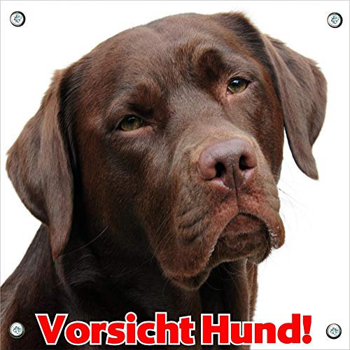 Petsigns Hundeschild - Labrador braun - Achtung Hund - wetterfestes Metallschild, 15 x 15 cm