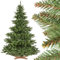 FAIRYTREES Weihnachtsbaum künstlich NORDMANNTANNE, grüner Stamm, Material PVC, inkl. Holzständer, 220cm