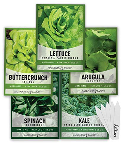 Gardeners Basics Lettuce and Greens Heirloom Vegetable Seed Non-GMO Seeds for Planting Indoors and Outdoor - Lettuce Buttercrunch, Romaine, Arugula, Kale and Spinach, Pack of 5