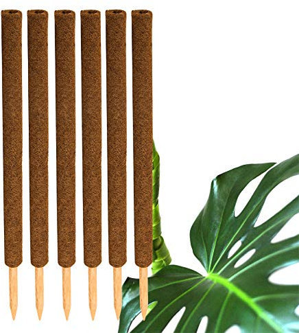 BigDean 6er Set Pflanzstäbe Kokos 80 cm - Monstera Rankhilfe Rankstäbe Stab Moosstäbe Pflanzenstäbe Kokosstäbe für Pflanzen - aus natürlicher Kokosfaser - verlängerbar
