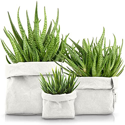 Lot de 3 Cache Pots de Fleurs en Papier Kraft Écologique - Pot de Fleur Interieur Blanc - Panier Rangement et Organisation de la Salle de Bain - Deco Cuisine