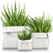 Lot de 3 Cache Pots de Fleurs en Papier Kraft Écologique - Pot de Fleur Interieur Blanc - Panier Rangement et Organisation de la Salle de Bain - Deco Cuisine