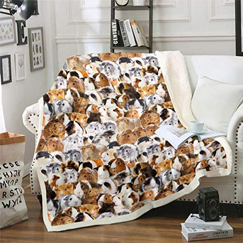 Kinder Meerschweinchen Wohndecke 150x200cm Kinder Niedlich Cavy Muster Lustig Kuscheldecke Für Jungen Mädchen Kleinkind Dekor 3D Schönes Haustier Tier Thema Flanell Fleecedecke