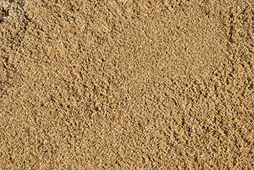 argan Sabbia Fine 0-4 Ottima per Terrari, Acquari Drenaggio Piante e Decoro Vaso Bonsai, Ottimo per Rettili e Tartarughe - 2,5kg
