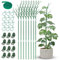 NiHome Umfassende Pflanzenstützpfähle, Set mit 8 Stück, langlebig, UV-beständig, 100,8 cm, mit Verlängerungsstangen, Orchideen-Clips und Pflanzenbindern zum Klettern von Innen- und Außenpflanzen,