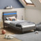 VASAGLE Bettgestell, Einzelbettgestell, 90 x 190 cm, verstellbares gepolstertes Kopfteil, LED-Beleuchtung, USB- und Typ-C-Anschluss, Bettrahmen, modern, dunkelgrau RMB801G71V1