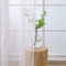 L.Z.E Vorhänge Weiß Beige für Wohnzimmer Gardinen mit Kräuselband für Schienensystem Transparent Schiene Vorhang Gardine für Schlafzimmer 2er Set Leinenoptik Schals Modern 245 cm Lang
