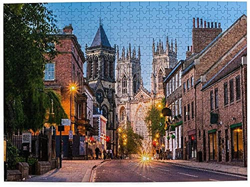 Jigsaw Puzzles 1000 Pieces,The Street With York Minster In The Background,Family Large Puzzle Game Artwork and Great Gifts for Adults Teens Kids 38x26CM