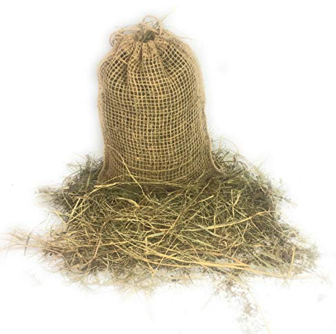 Ostergras Deko Gras Natur Spreewald Heu Jute Beutel Netzsäckchen Ostern Geschenk Weihnachtskrippe (1 x 150g)