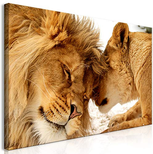 B&D XXL Wandbild Mega XXXL Löwe Einteiliger XXL-Format Kunstdruck zur Selbstmontage Leinwandbilder moderne Bilder DIY Wanddekoration Wohnung Deko Liebe Afrika Tier g-B-0034-ak-f