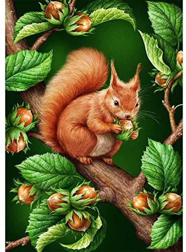 AIRDEA Squirrel Diamond Painting Kits for Adults, 5D DIY Squirrel Diamond Painting by Numbers, Round Full Drill Animal Diamond Art Kits, Diamond Painting Picture for Home Wall Decor 11.8x15.7 inch