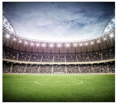 Scenolia Papier Peint intissé Stade DE Foot 300 x 270 cm (LxH) - Tapisserie Murale panoramique XXL, Made in France