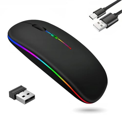 GADIRIA Ratón Inalámbrico Bluetooth Recargable 2,4 GHz Dual - Mouse Gaming Silencioso para PC y Portátil - Ratón Inalámbrico para Ordenador Gamer - Compatible con Windows/Mac (Negro)