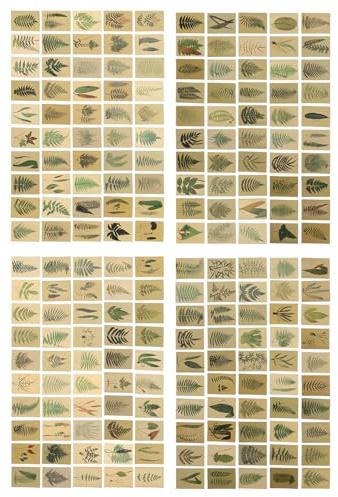 MUELODSIC 2 Packungen Retro Memo Papiernotiz mit Collage Karten Kreatives Vintage Papier zum Beschriften Leicht zu Lagern für Bücher und Dekoration