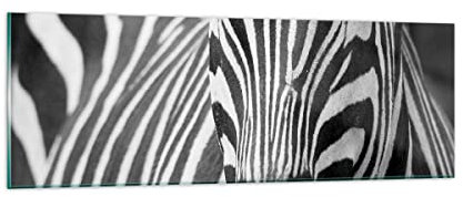 Panorama Bilder auf Glas Tiere Zebra gestreift Glasbild 90x30cm Wandbilder Dekoration Wohnzimmer Schlafzimmer Küche Klein Wanddeko Bild im Glas Wand Kunstdruck Art Modern Wall Decor GAB90x30-2254