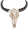 Wakauto 1PCS Skull Wall Hanging Long Horn Cow Skull Creative Resin Animal Art Crafts Ornaments for Decorating Home Wall