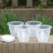 Meshpot 12 cm Transparent Plastique Pot à orchidée avec Trous et soucoupes - 4 Pièces