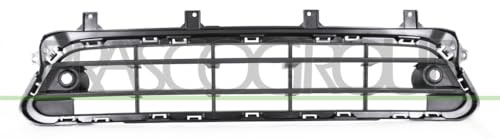 Bumper grille in the middle, black