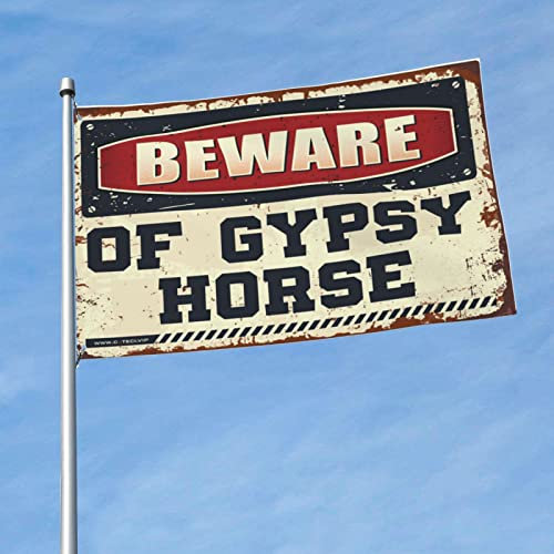 Decoración de cueva para hombre, bandera de caballo gitano, banderas geniales, decoración de playa para el hogar (tamaño : 60 x 90 cm)