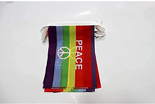 AZ FLAG Ghirlanda 6 Metri 20 Bandiere Arcobaleno Simbolo Pace 21x15cm, Bandiera Gay - Rainbow Flag 15 x 21 cm - Festone Bandierine