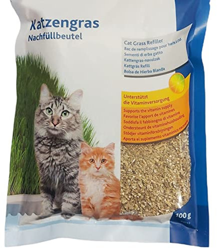 animallparadise - Herbe à Chat Tendre 100 GR Graine à Faire Pousser