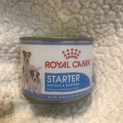 Royal Canin Starter Mousse 12 x 195 GR