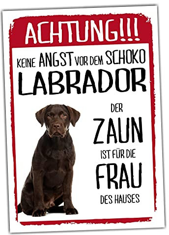 Labrador Braun Dog Schild Achtung Zaun Frau Spruch Türschild Hundeschild Warnschild Geschenkidee lustiger Spruch Hundemotiv Aluminium Wetterfestes Hundeschild