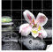 GRAZDesign Fliesenaufkleber Bad Wandfliesen selbstklebend, Wellness mit Blume Klebefliesen - 15x15cm / Wellness Steine mit Lilie