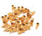 harpfeas 3MM Electric Guitar Bass Pickguard Screws Pick Guards Scratch Plate Mounting Screws for Fender Strat ST Tele TL Stratocaster Telecaster Gibson LP Les Paul SG Guitar Pack of 50 (Gold)