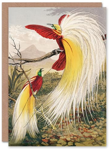 Artery8 Benjamin Fawcett Art Card Bird of Paradise Exotic Animal