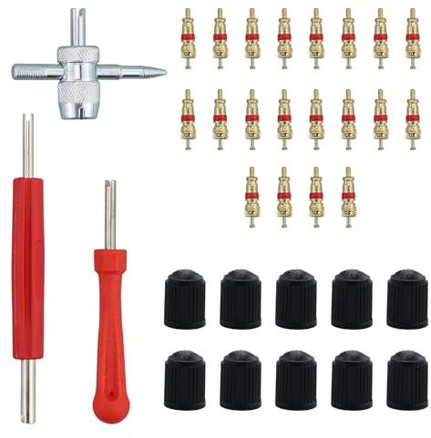 33 Stück Autoventil Reparatur Set, Autoreifen Ventil / Valve Reparatur Kit mit 20 x Ventilkerne, 10 x Ventilkappen, 3 x Ventilschlüssel / Werkzeuge für Auto Reifenreparatur, Motorrad Fahrrad Bike