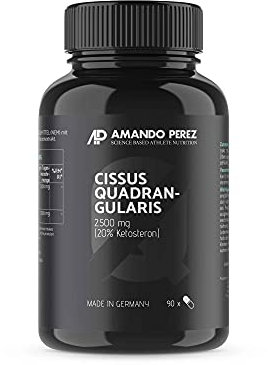 Cissus Quadrangularis Extrakt 2500 mg • 90 vegane Kapseln • Liefert 20% Ketosterone • Hochdosiert • Made in Germany • Natürlich, aktiviert und mikronisiert
