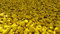 RockinColour Pierres décoratives de Jardin Jaune Doux, idéales pour Les éléments décoratifs, résistantes aux UV et aux intempéries, revêtement de Couleur sûr. 20mm. 14 kg-15 kg