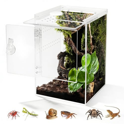 Biigdan Vordere Öffnung Schnecken Terrarium,360° Rechteck Vivarium | 15x15x23CM,Wasserdicht Acryl Terrarium mit Querlüftung , für Springspinne Gottesanbeterin, Geckos,Laubfrösche, Käfer