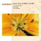 Schubert:Piano Trios d.898 &