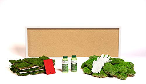 DIY Moosbild selber machen, Wandbilder selber kleben, Moosbilder selbst gestalten Do it yourself Set Moos kleben Wanddeko selbst herstellen Wandbild Komplett-Set Holzrahmen (schwarz, 100 x 35 cm)