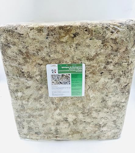 Sphagnum de madagascar - sustrato vegetal para cultivos fuera del suelo (4 Kg)