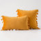 Bestenrose 2er Set Samt Kissenbezug mit Quaste Kissenhülle Dekorative Dekokissen Kissen Couchkissen Sofakissen für Wohnzimmer Schlafzimmer (45x45cm, Golden)